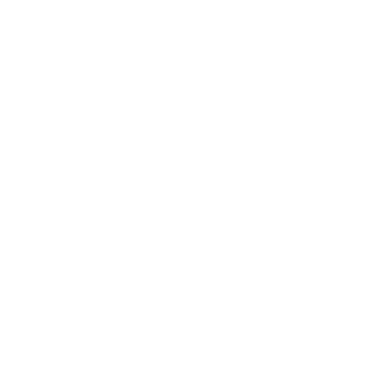 ico_pro-av@4x