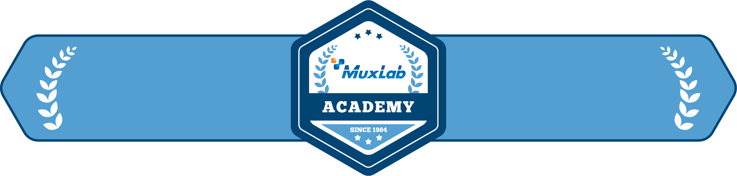 ml ACADEMY MINI BANNER@4x